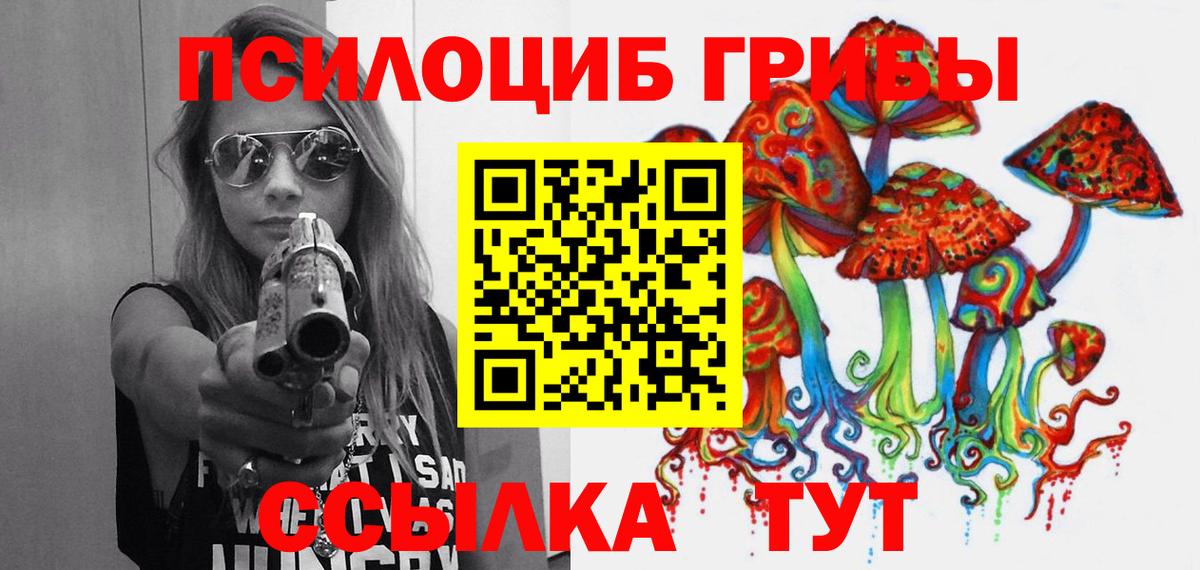 Псилоцибиновые грибы Psilocybine cubensis Новокубанск