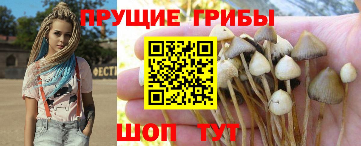 Псилоцибиновые грибы MAGIC MUSHROOMS  Вход с VPN  Новокубанск 