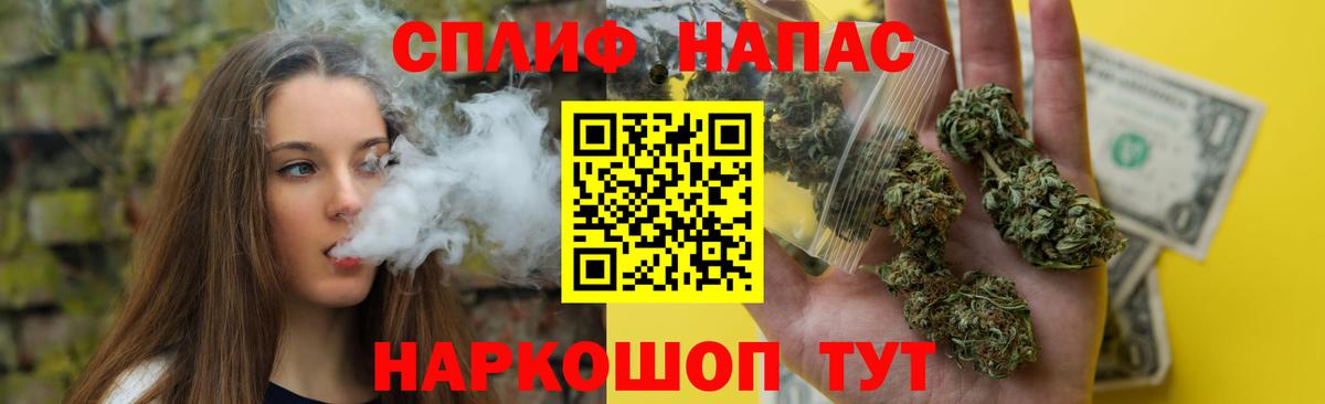 Канабис семена Новокубанск